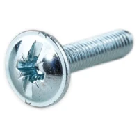 Гвинт 4×20 мм ДС, сталевий, білий